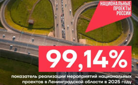 В 2025 году в Ленобласти реализовали более 99% запланированного по нацпроектам