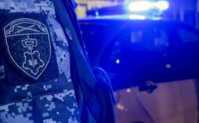 Пьяный хулиган разбил стекло чужой машины в Рощино