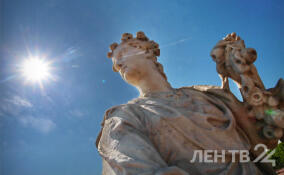 Сухо и до +14 градусов: о погоде в Ленобласти 27 марта