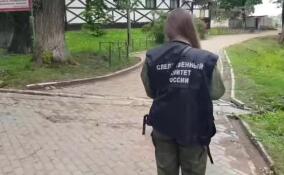 Житель Карелии предстанет перед судом за убийство и нападение на очевидца преступления на  Колтушском озере