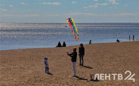 Солнечно, сухо и тепло: прогноз погоды в Ленобласти на 28 марта