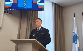 В Гатчинском округе некомплект сотрудников полиции превысил 30%