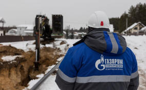 В Пикалево газ пришел к 125 домам в микрорайоне Новли