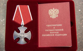 Родным четверых погибших на СВО из Соснового Бора передали их награды