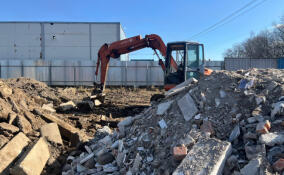 На участке в Романовском поселении обнаружили крупную нелегальную свалку