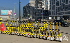 В Кудрово действуют ограничения на электросамокаты