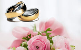 Серебряный юбилей под аккорды Мендельсона: в Лужском районе чествовали супругов Андреевых