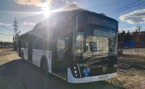 С кондиционерами и зонами для колясок: в Тосненском районе запустят два новых автобуса