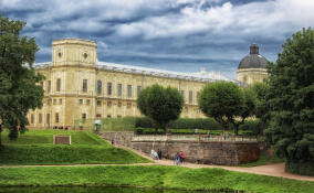 До +16°C ожидается в Ленобласти 30 марта