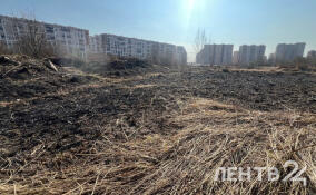 Жители Кудрово жалуются на возгорания полей