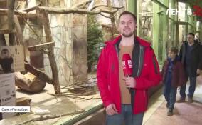 Ленинградский зоопарк приглашает на весенний фестиваль