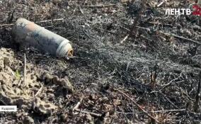 Жители Кудрово обеспокоены частыми поджогами сухой травы в полях