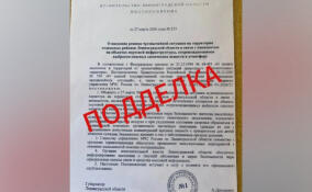 Губернатор Ленобласти опроверг фейки о введении режима ЧС