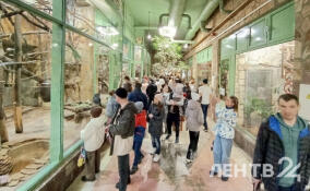 Мастер-классы, игры и выставки: в Ленинградском зоопарке проходит весенний фестиваль «Пробуждение жизни»