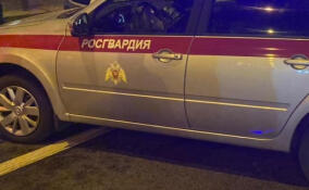Пьяный мужчина размахивал пистолетом в баре в центре Петербурга