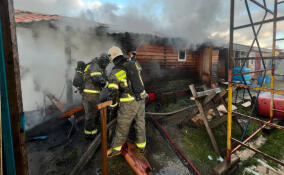 За сутки в Ленобласти ликвидировали 31 пожар и последствия трех ДТП