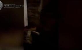 В Киришском районе ликвидировали подпольную нарколабораторию