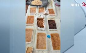 Сотрудники УФСБ ликвидировали подпольную нарколабораторию в Ленинградской области