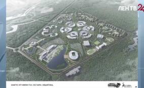 Крупный спортивный кластер с ледовой ареной появится под Всеволожском