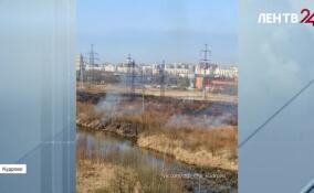 Жители Кудрово жалуются на горящие поля