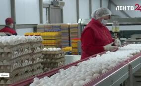 Объем производства продукции АПК в Ленобласти за 2025 год достиг почти 550 миллиардов рублей