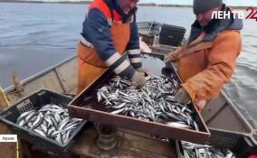 Корюшковая путина уже на старте