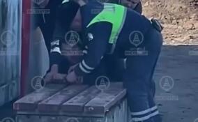 В Агалатово трое пьяных жителей напали на инспекторов ДПС