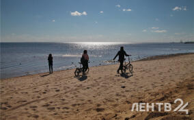 До +14, солнечно и сухо: прогноз погоды в Ленобласти на 1 апреля