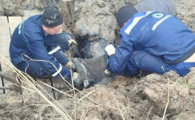 В Киришах устранили аварийную утечку воды за 40 минут