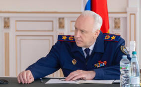 Глава СКР взял на контроль ситуацию с нарушением прав многодетных семей в Снегиревке