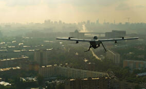 В самом разгаре: атаки на Ленобласть как зеркало момента