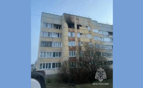 Один человек погиб и еще один пострадал при пожаре в деревне Кипень