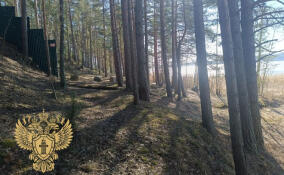 Прокуратура добилась сноса незаконно установленного забора в береговой полосе озера Суходольское