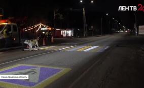 На дорогах Ленобласти тестируют гобо-проекторы