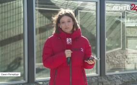 В Ленинградском зоопарке начали ремонтные работы в вольере для тигров