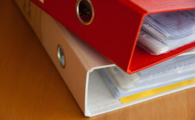 Восемь чиновников из Всеволожского района наказали за нарушение порядка рассмотрения обращений