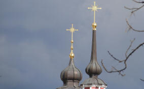 Священник рассказал о смысле Лазаревой субботы