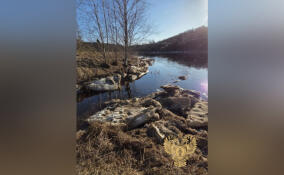 Прокуратура через суд обязала Леноблводоканал установить очистные сооружения на реке Оять