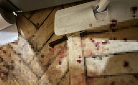 Петербурженка ранила своего бывшего ножом и отверткой