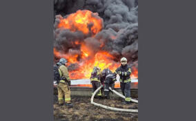 За сутки в Ленобласти потушили 27 пожаров: погиб один человек