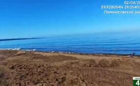 Проверка опровергла наличие нефтепродуктов в Финском заливе в Сосновом Бору