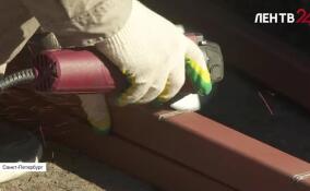 В Ленинградском зоопарке перестраивают павильон для тигров