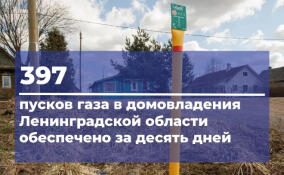 Почти 400 домов подключили к газу за 10 дней в Ленобласти