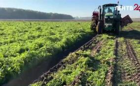 Александр Дрозденко рассказал об основных показателях АПК в минувшем году