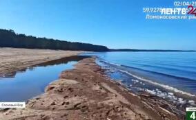Экомилиция Ленобласти опубликовала кадры проверки с пляжа вблизи деревни Липово