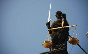 В Гатчине женщину приговорили к 11 годам за покушение на сбыт наркотиков