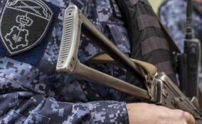 Ранее судимый мужчина ранил ножом свою сожительницу в Петербурге