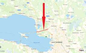 На КАД почти на пять месяцев перекроют 11-километровый участок внешнего кольца