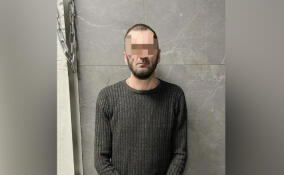 Объявленный в розыск мужчина совершил новое преступление и попался полиции в центре Петербурга