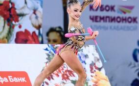 ГТО, баскетбол и гимнастика: о спортивных выходных в Ленобласти